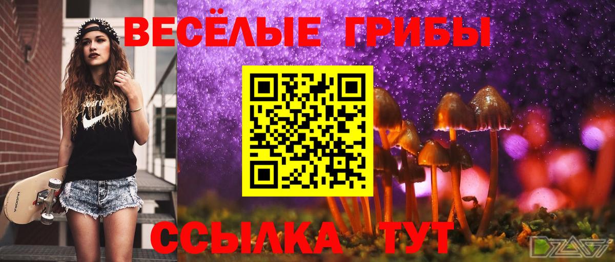 Галлюциногенные грибы мицелий Геленджик
